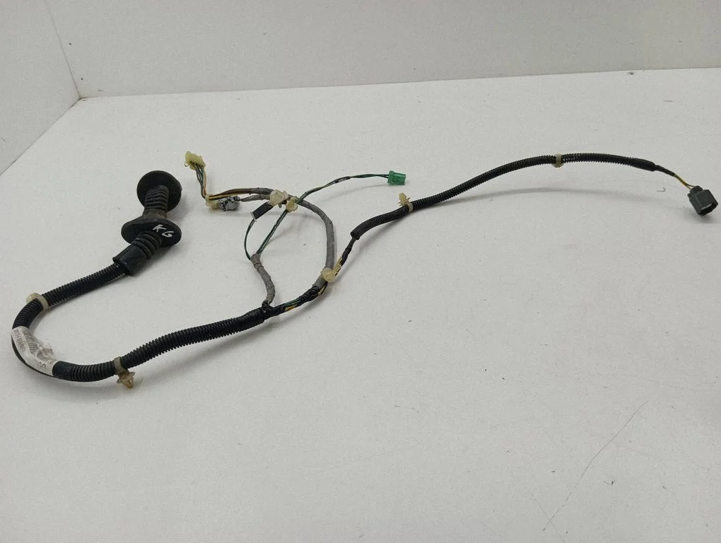Rear door wiring loom – left