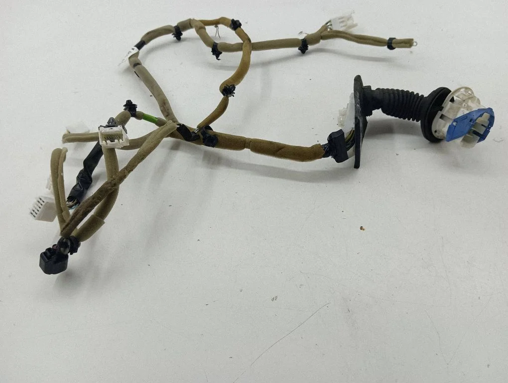 Rear door wiring loom EH1467210
