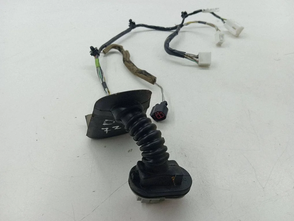Rear door wiring loom EH1467220