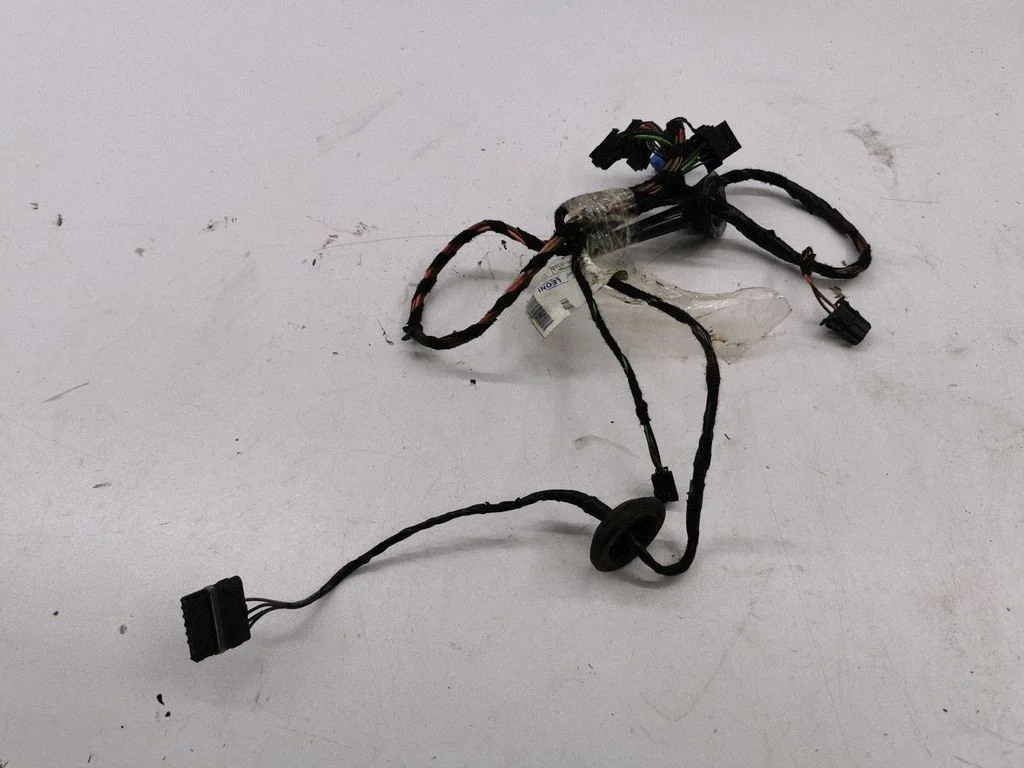 Aizmugurējo durvju vadu instalācija A1695450045