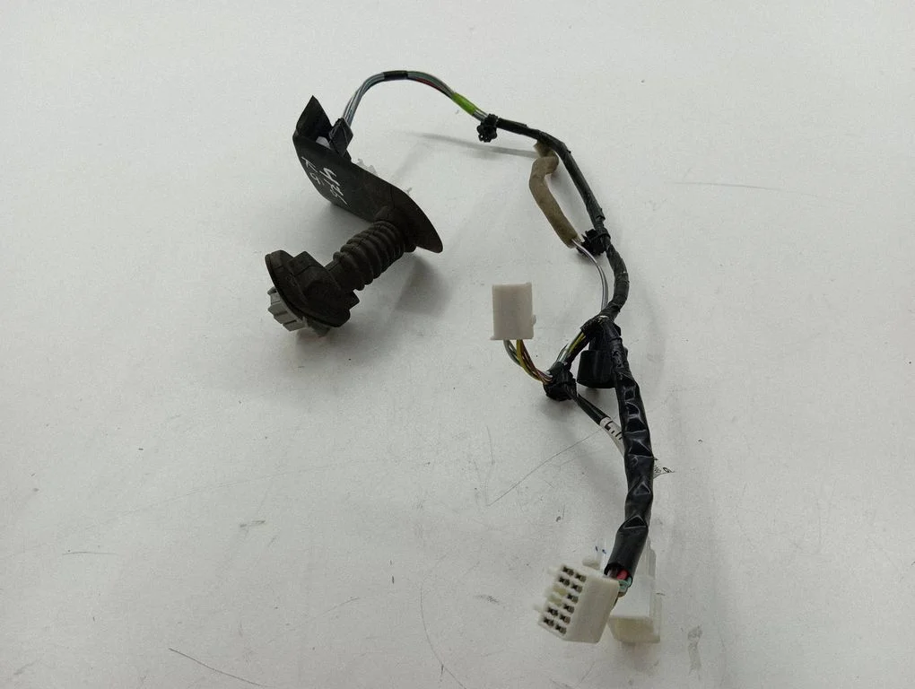 Aizmugurējo durvju vadu instalācija EH14672108