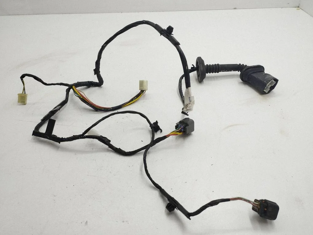 Rear door wiring loom 8512A200