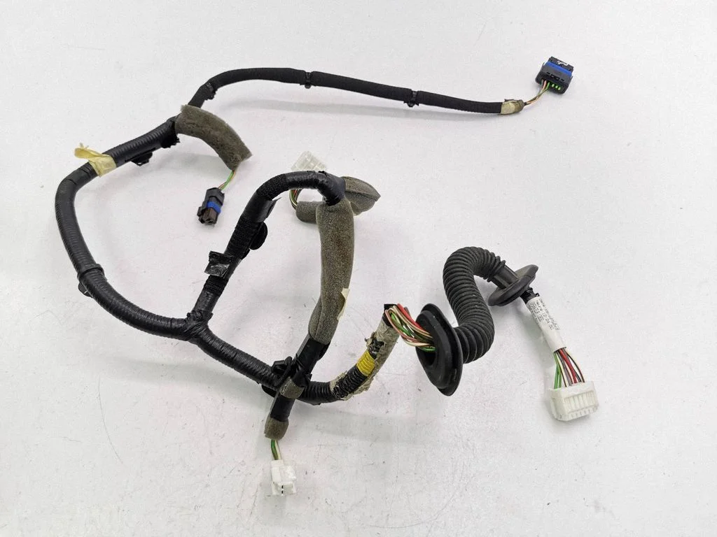 Rear door wiring loom 241269619R