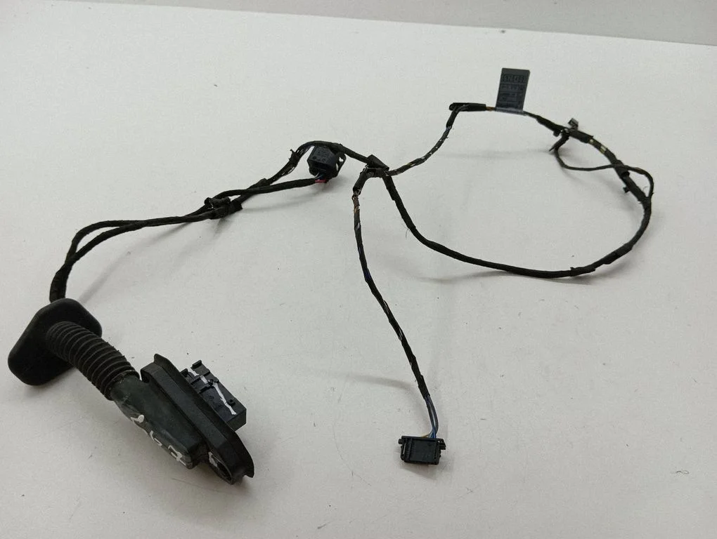 Rear door wiring loom 6926003