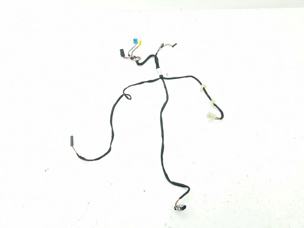 Rear door wiring loom 171199Q04