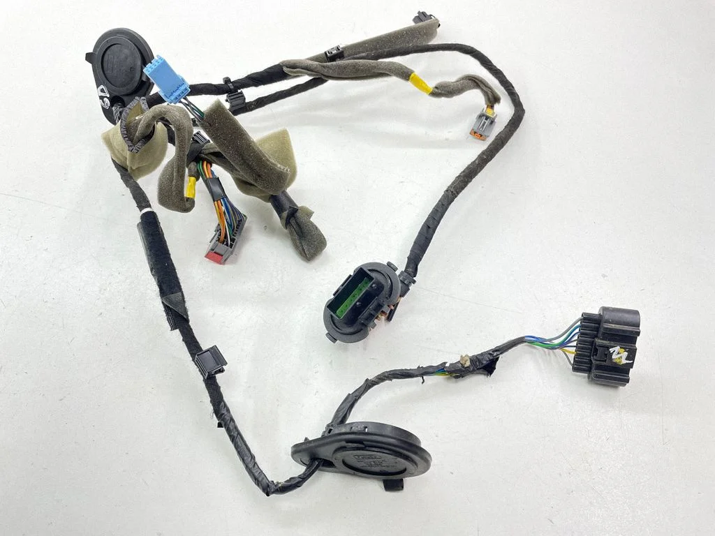 Rear door wiring loom 8G9T14603AC
