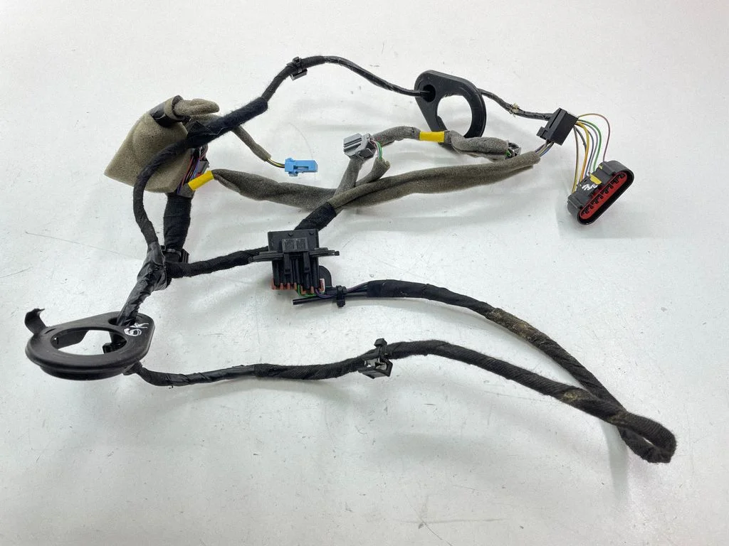 Rear door wiring loom – left