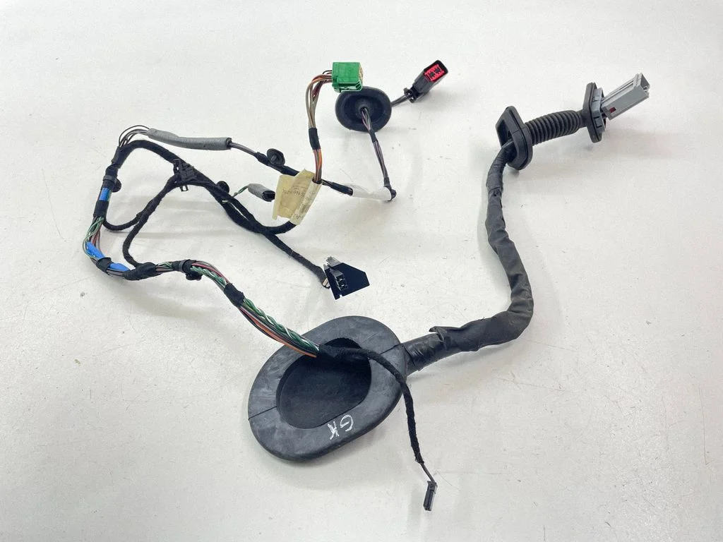 Rear door wiring loom 273383020