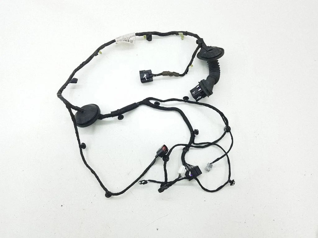 Rear door wiring loom DG9T14633