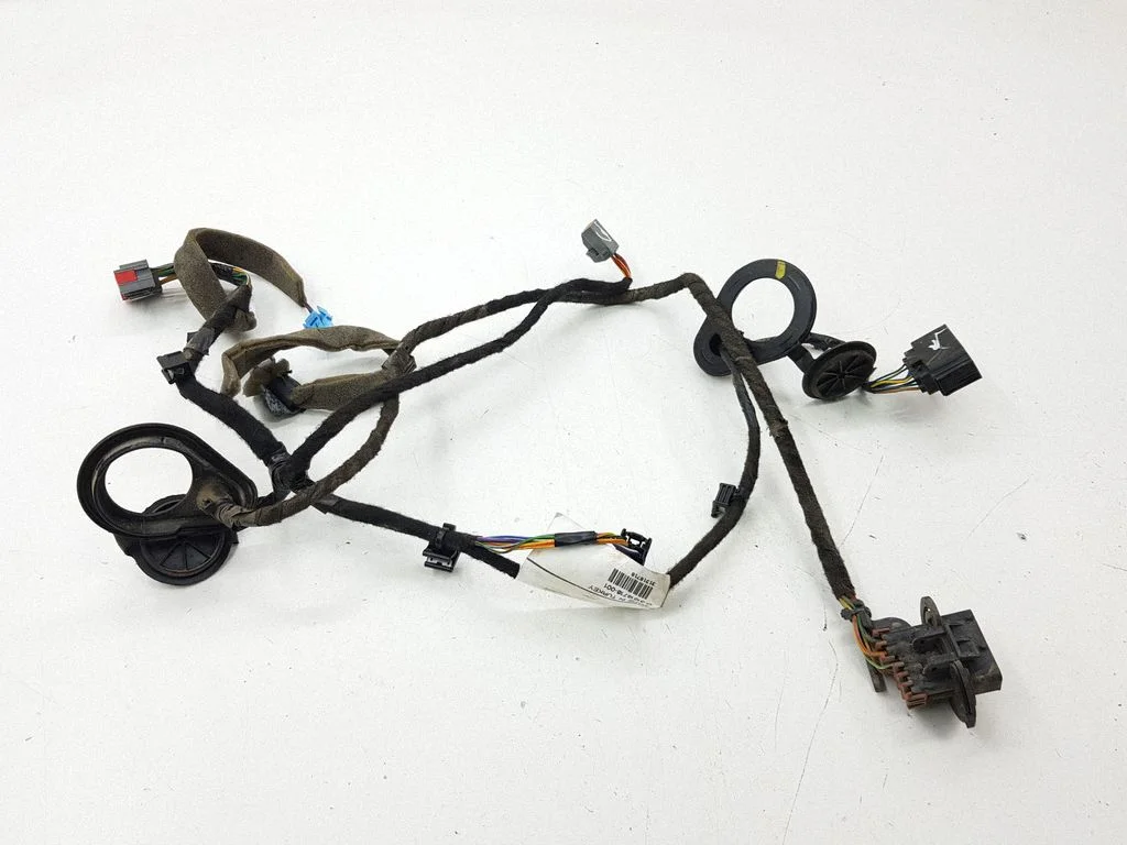 Rear door wiring loom 31318718