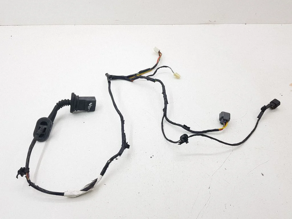 Rear door wiring loom – left
