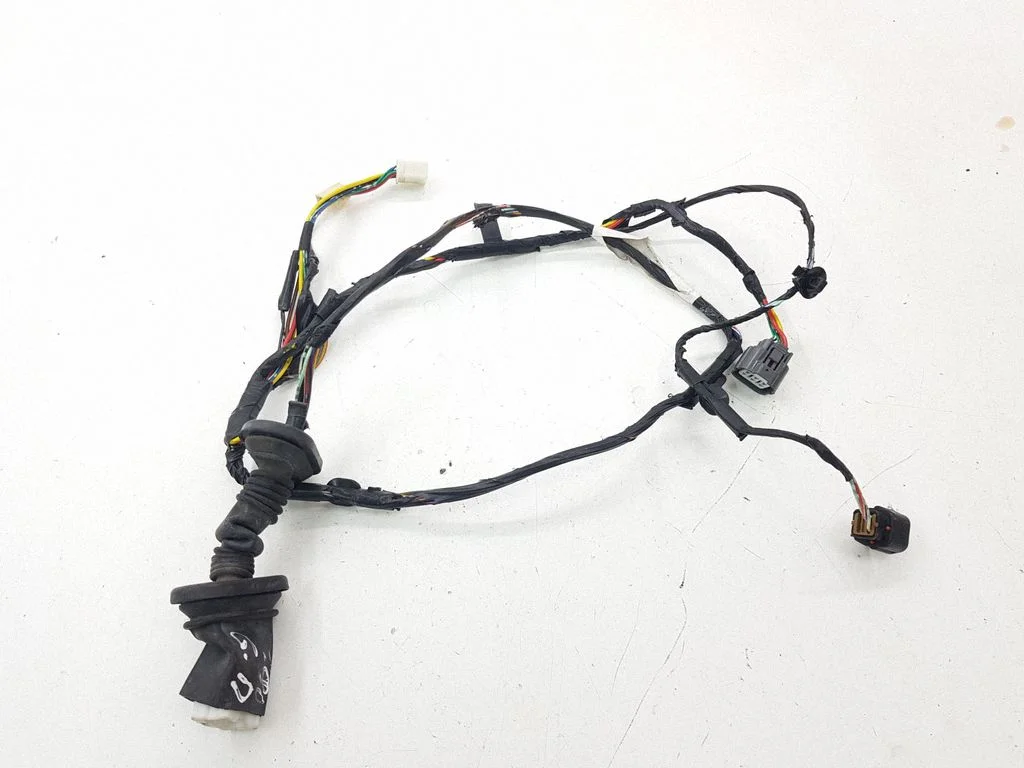 Rear door wiring loom 8512A199