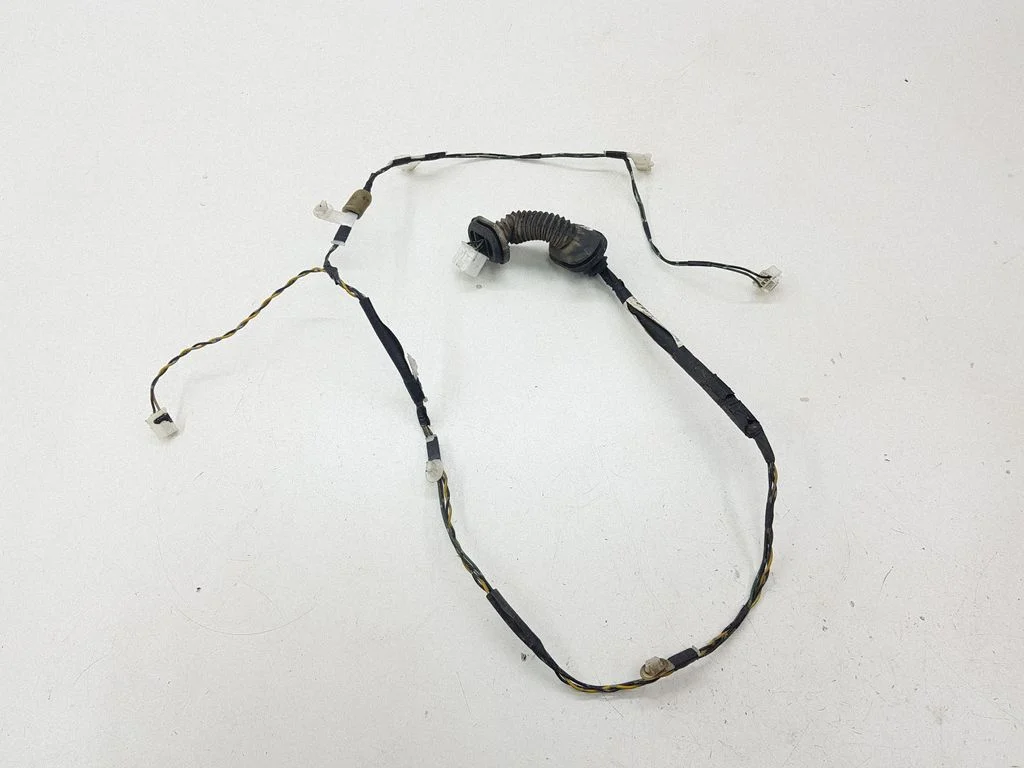 Rear door wiring loom 821540F010