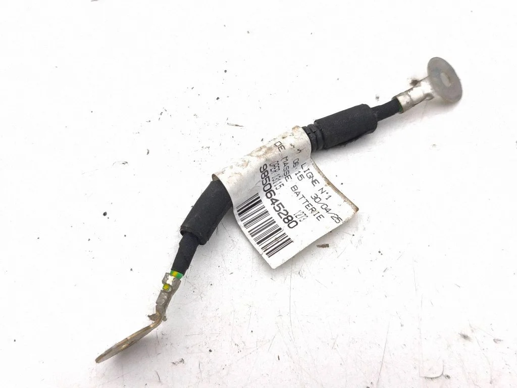 Negative earth cable (battery) 9850645280