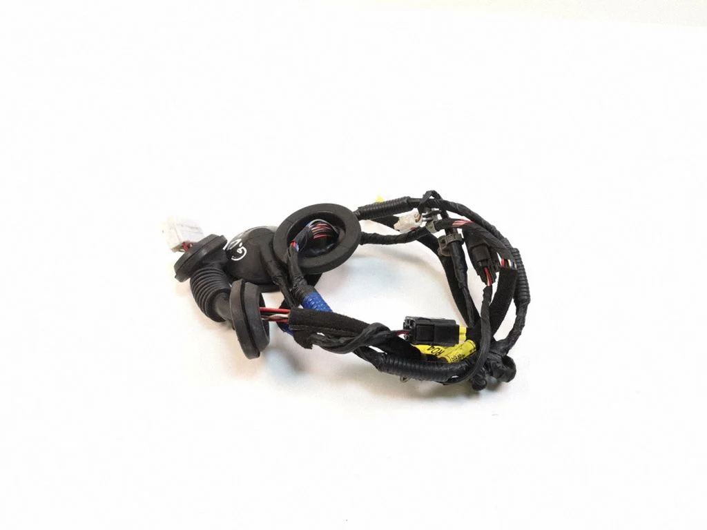 Rear door wiring loom 916603Z040