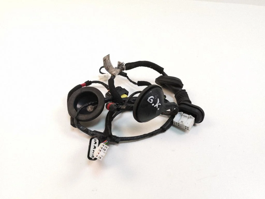Rear door wiring loom 916503Z40