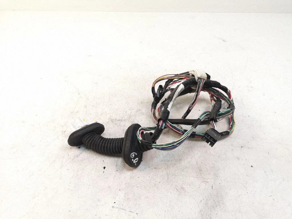 Rear door wiring loom 821530F040