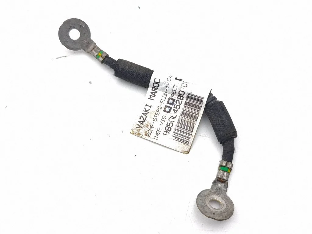 Negative earth cable (battery) 9850645280