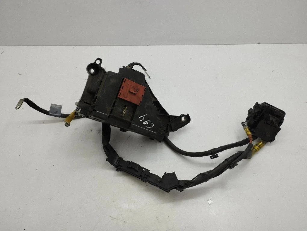 Positive wiring loom A2135406900