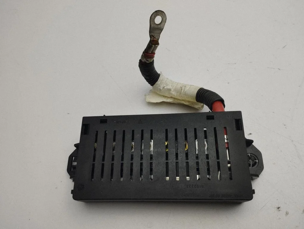 Positive wiring loom 9441776