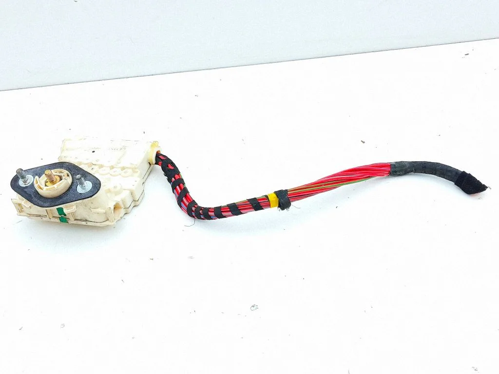 Positive wiring loom 99661030300