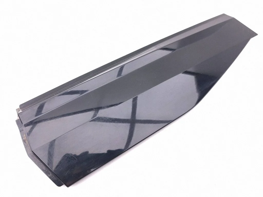 Rear door trim (molding) 9843769880