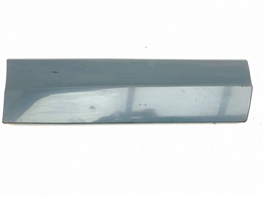 Tagaukse liist (mold) 2GA853864