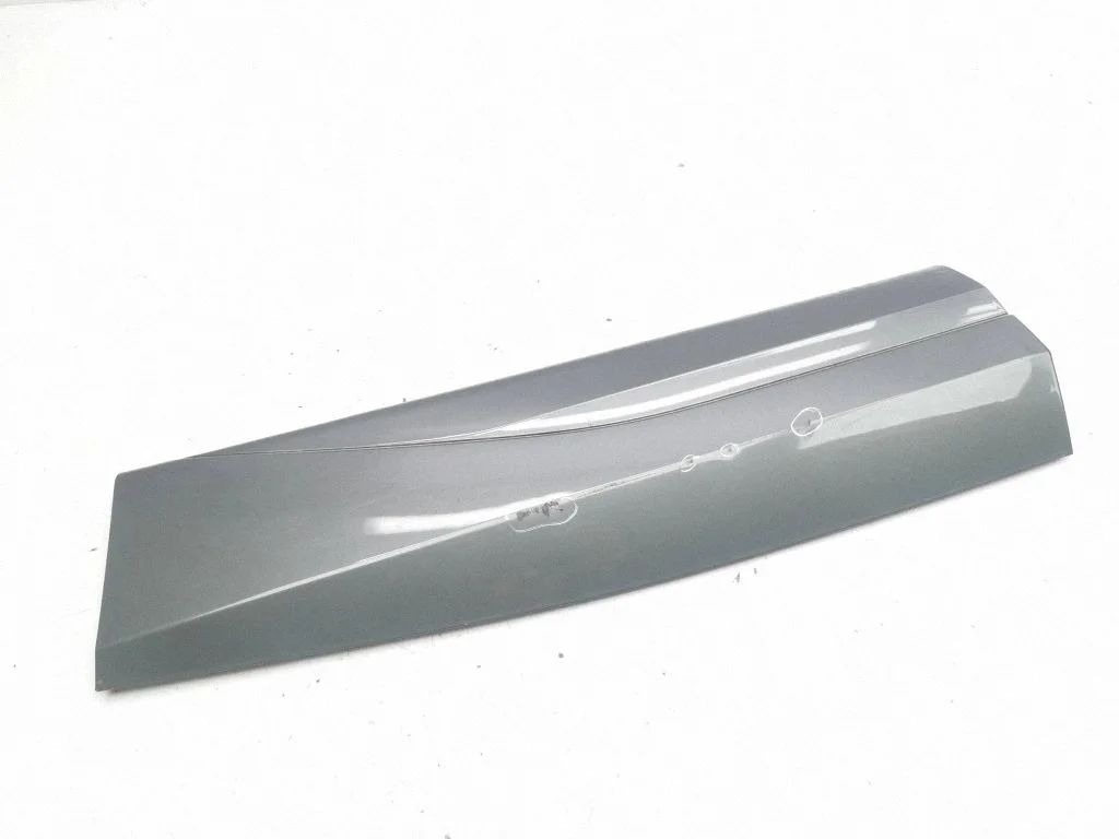 Rear door trim (molding) 5FF854949B