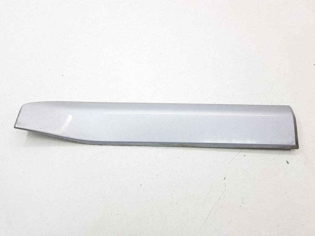 Rear door trim (molding) 5757A022