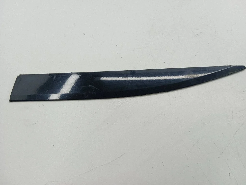 Rear door trim (molding) PW156023003