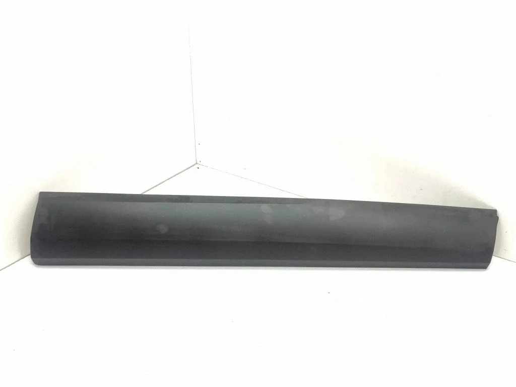 Listwa drzwi przednich 119244A2