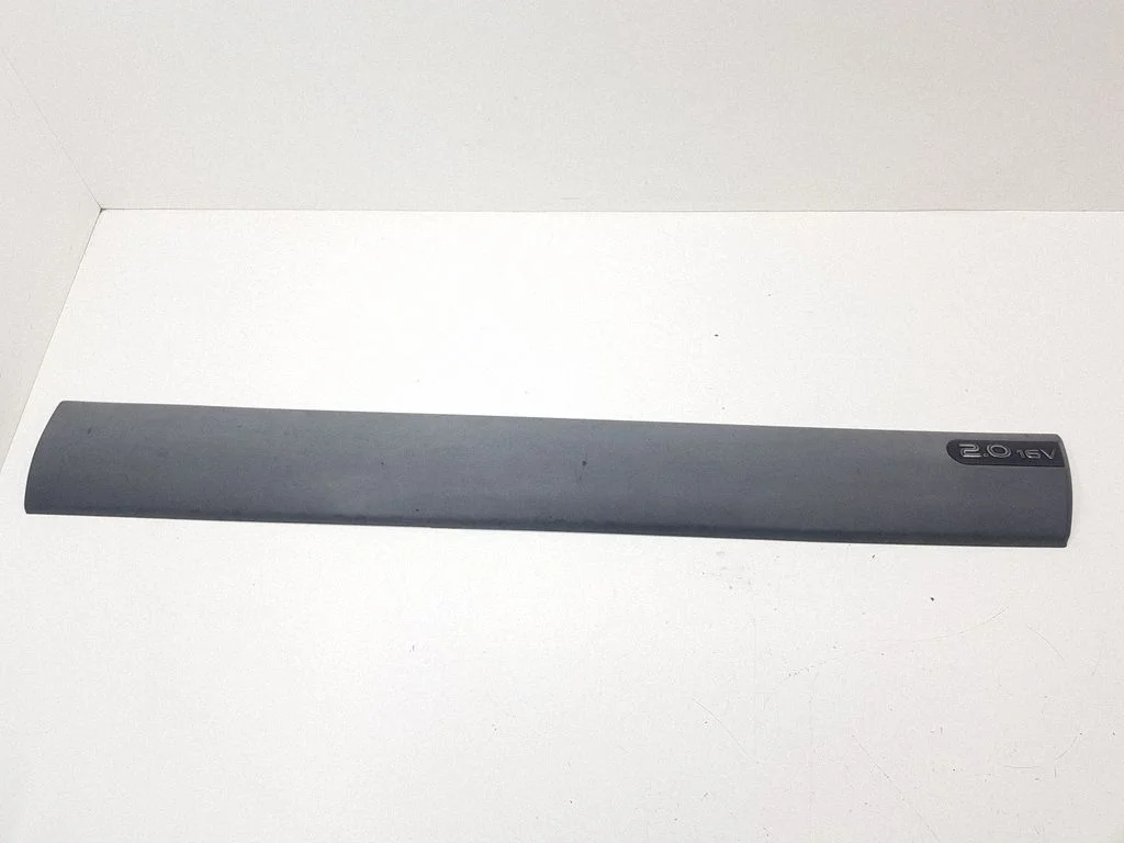 Front door trim (molding) 6025300660D