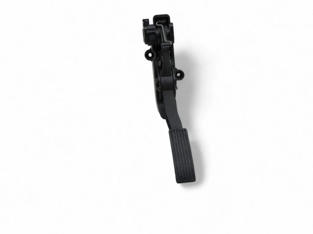 Accelerator throttle pedal A1693000104