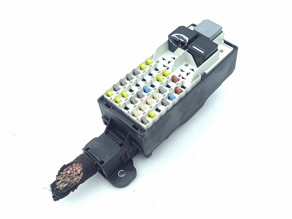 Fuse module