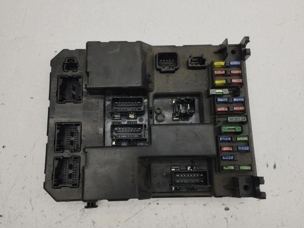Fuse module 9651197080