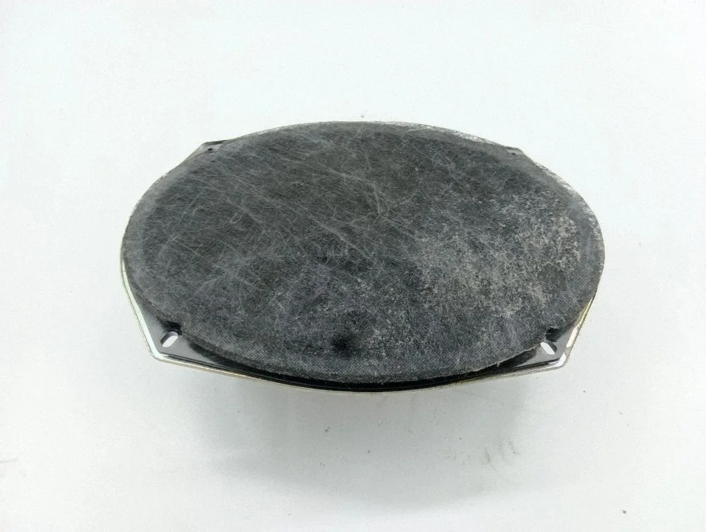 Front door speaker 05091019