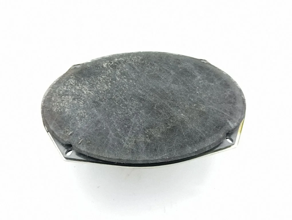 Front door speaker 05091019