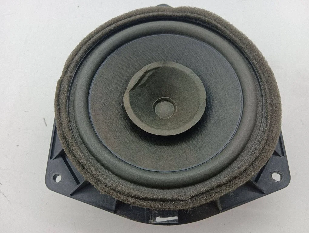 Skaļrunis (-ņi) priekšējās durvīs 8616002370
