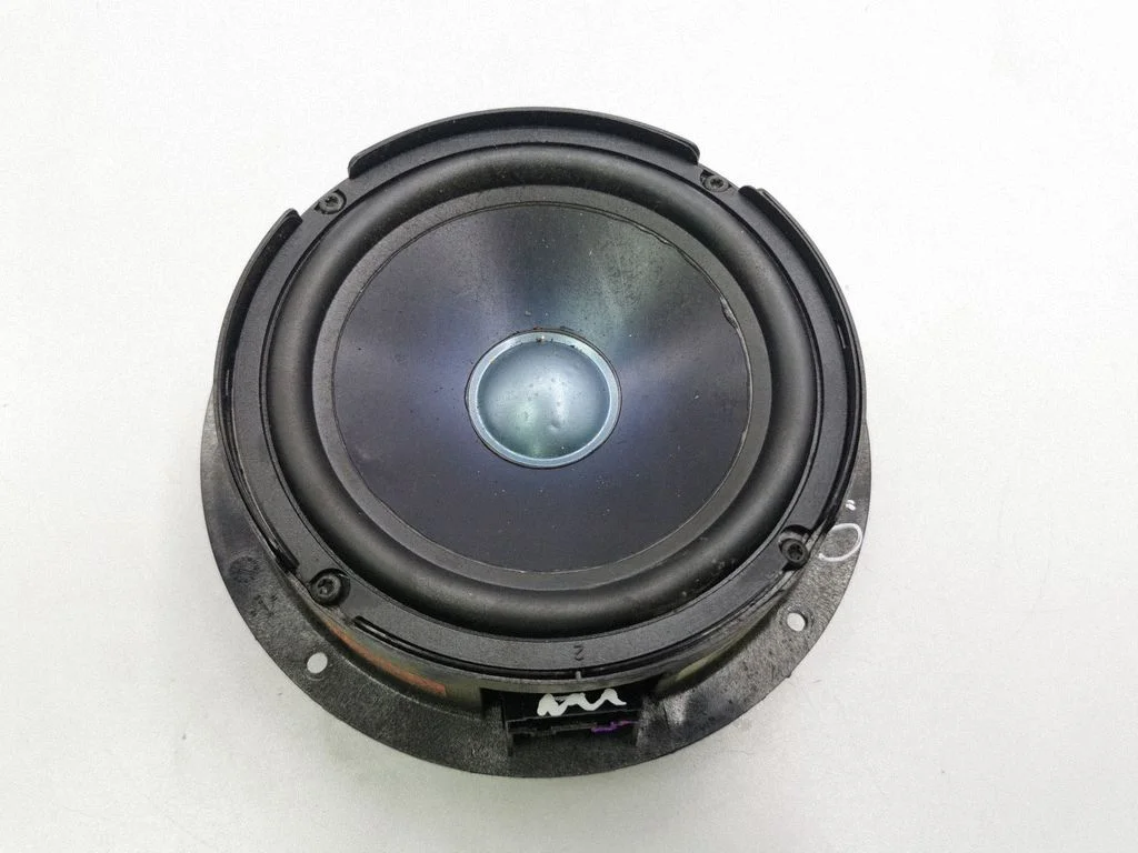 Front door speaker A2518200202