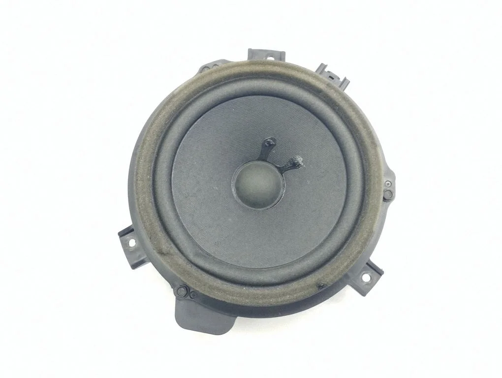 Skaļrunis (-ņi) priekšējās durvīs AM5118K896