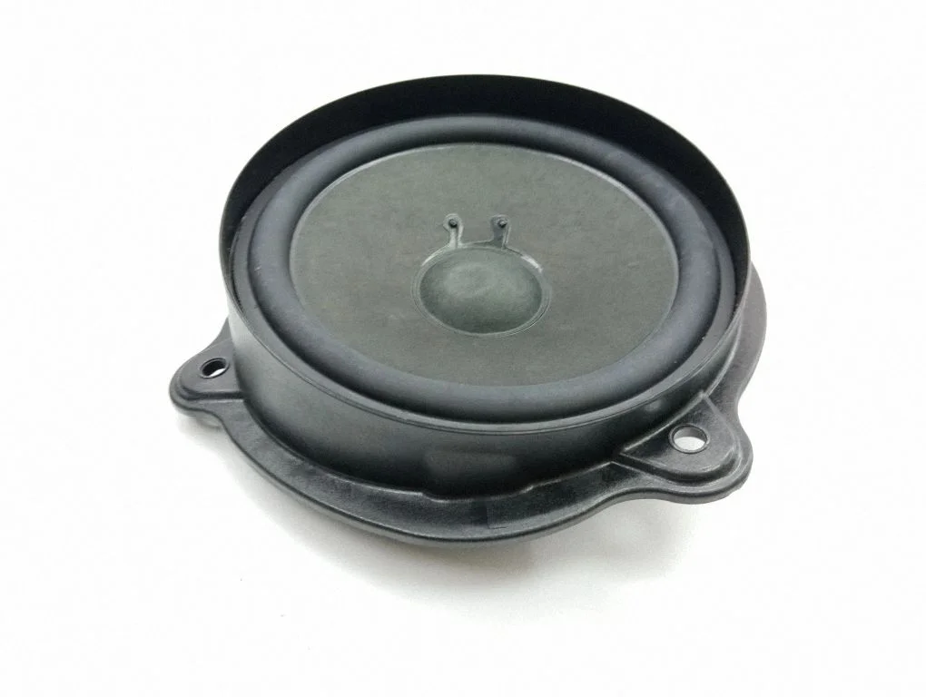 Front door speaker A2198200402