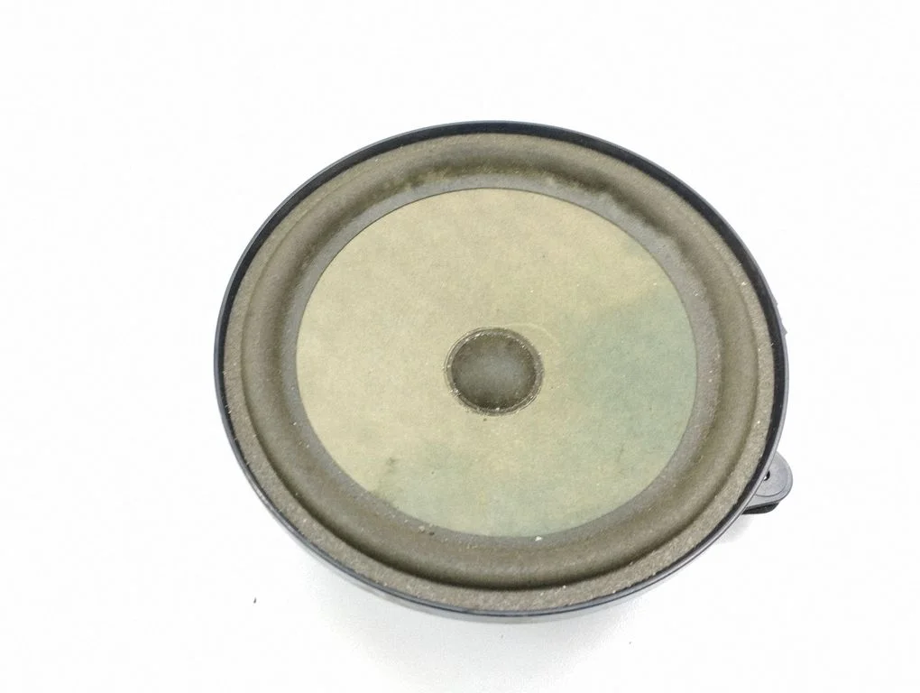 Front door speaker