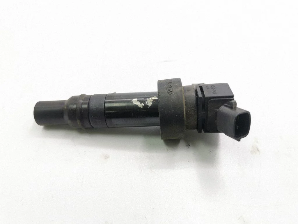 Cewka zapłonowa 273012B100