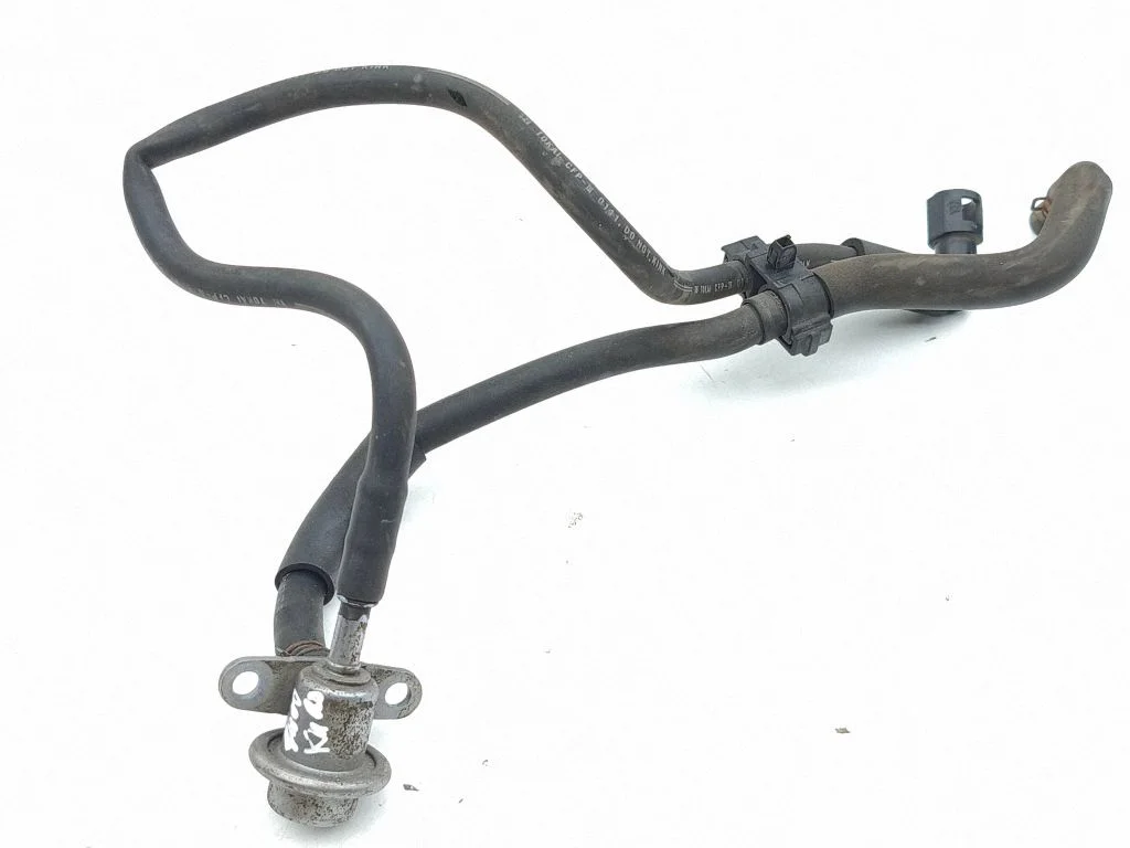 Fuel line/pipe/hose 240005331