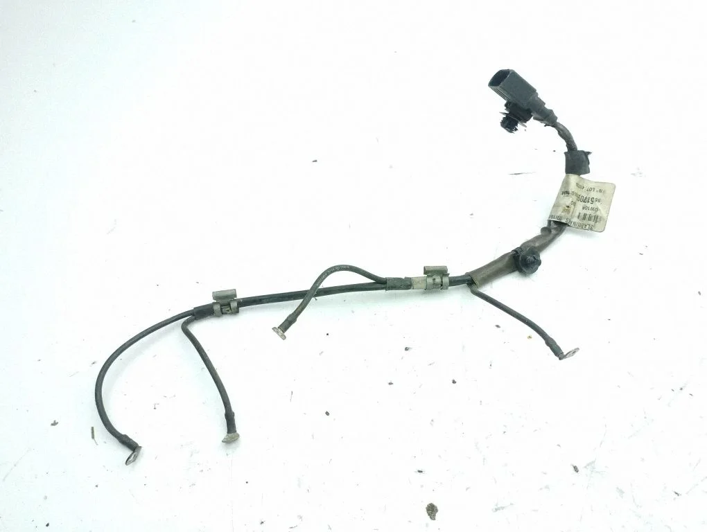 Glow plug wires 9651700980D