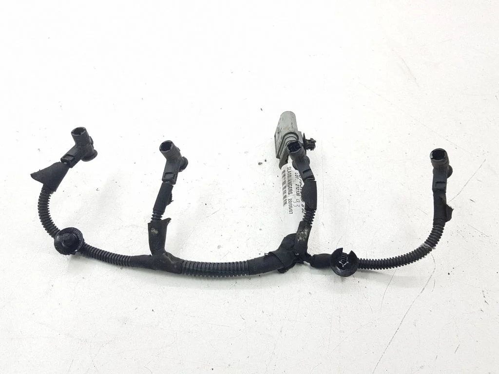 Glow plug wires 9661631680