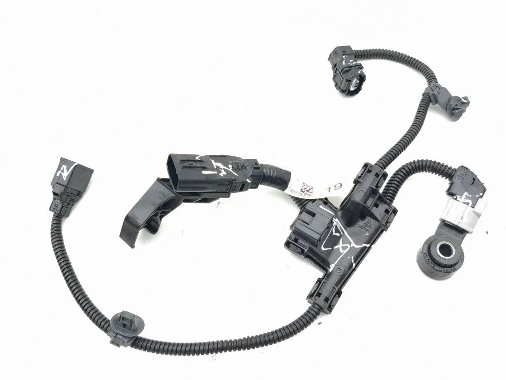 Engine installation wiring loom 82219F4010A