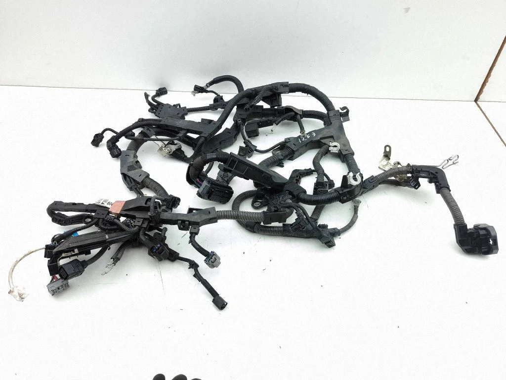 Engine installation wiring loom 2008310203