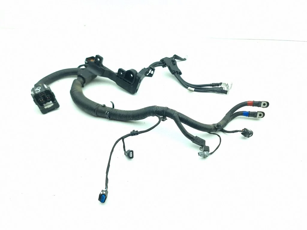Engine installation wiring loom 91850N7060