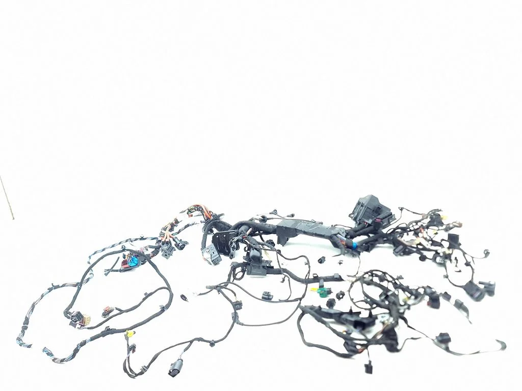 Engine installation wiring loom G700315